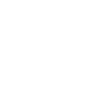 wordpress-icon