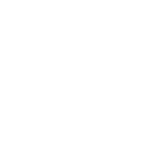 Shopify icon